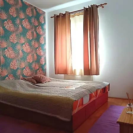 Apartment Dezsa