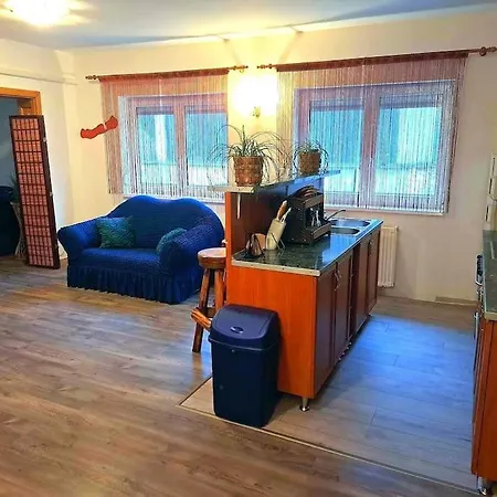 Apartment Dezsa *