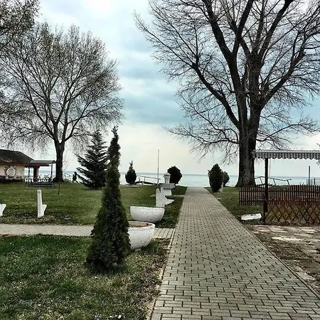 Apartment Dezsa *