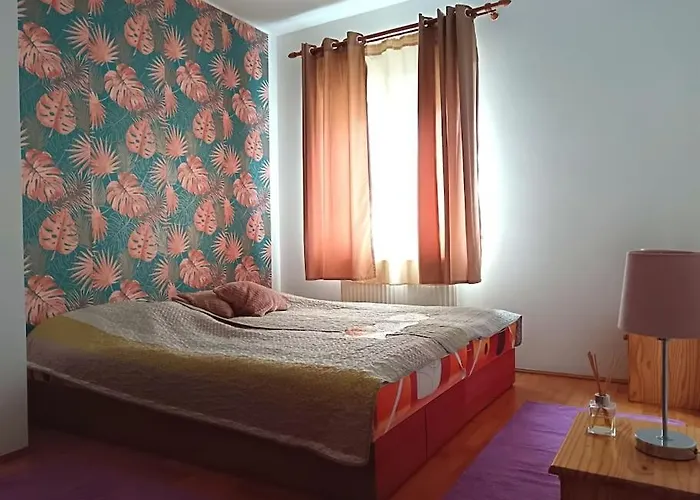Apartment Dezsa