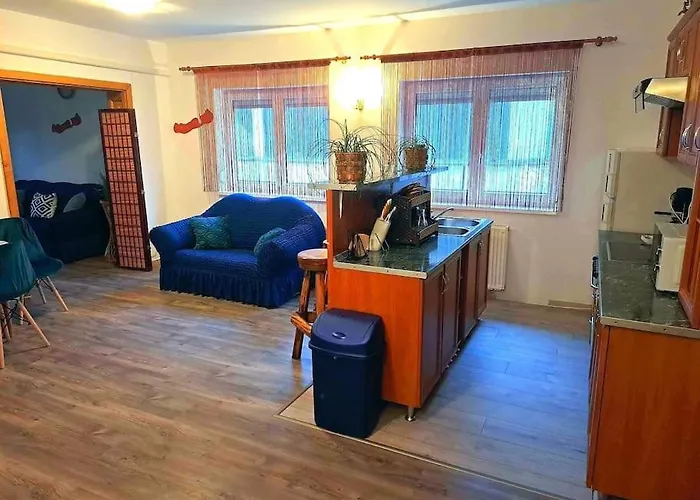 Apartment Dezsa *