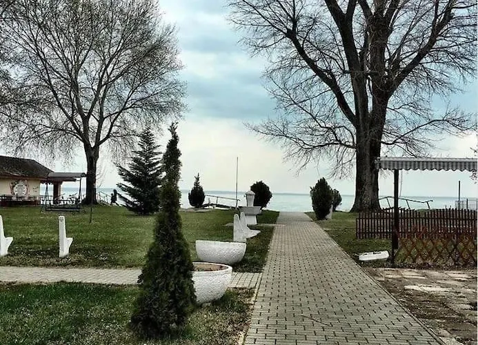 Apartment Dezsa *